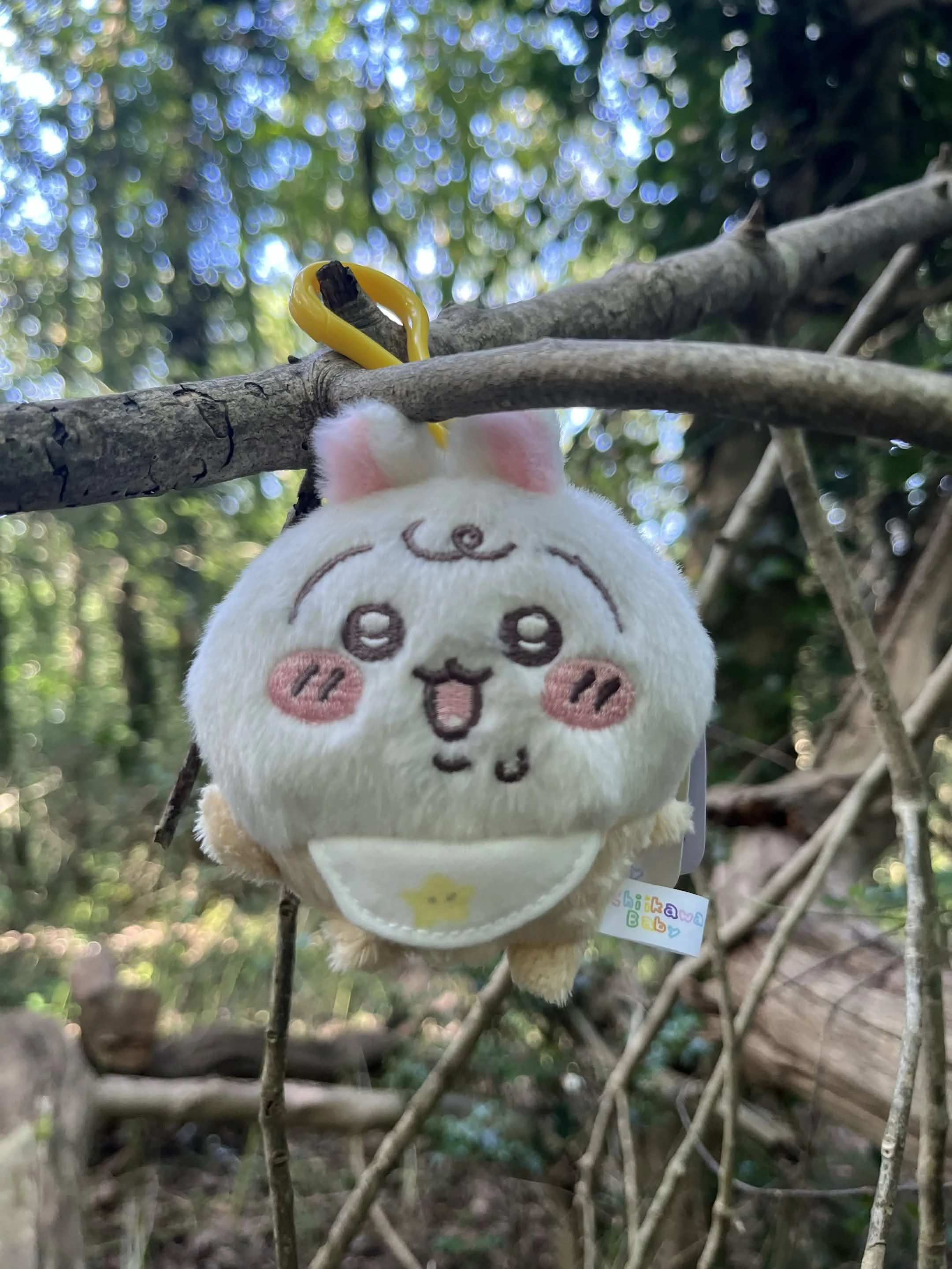 Baby Usagi